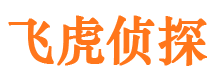 北川市调查公司